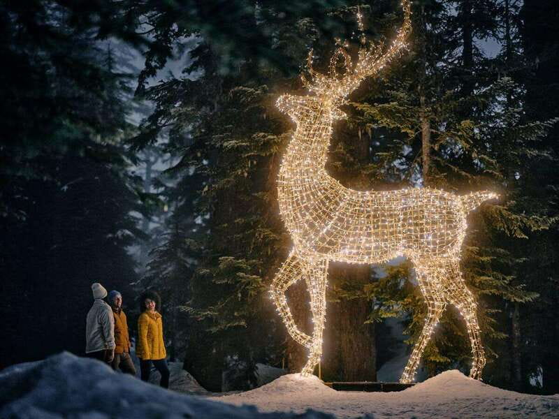 Vancouver: Christmas Lights Karaoke Trolley Tour - Stanley Park Bright Nights: Fast, Scenic, and Photo-Forward