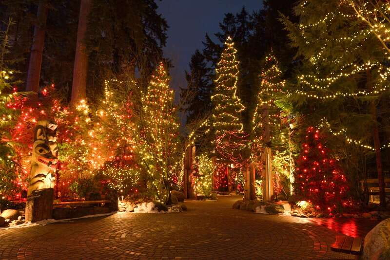 Vancouver: Christmas Lights Karaoke Trolley Tour - How the Karaoke and Host Energy Works on the Ride