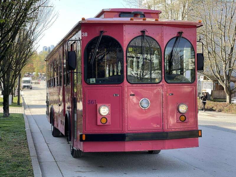 Vancouver: Christmas Lights Karaoke Trolley Tour - Price and What $52 Buys You in Real Value
