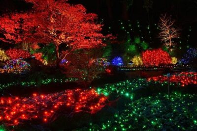 Victoria and Butchart Gardens Christmas Tour - First stop: Vancouver to Tsawwassen, then the BC Ferries departure