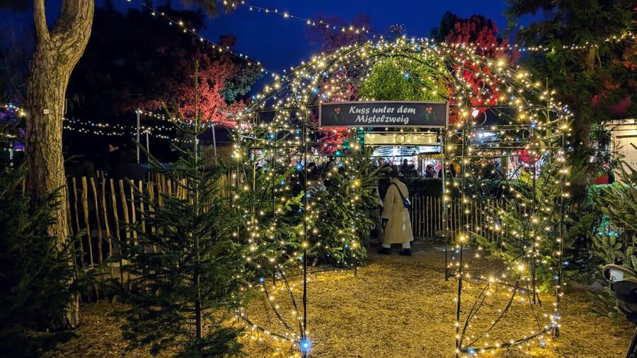 Vienna: Christmas Market Food and Drinks Tour - Moving like a local: Vienna’s public transport lesson