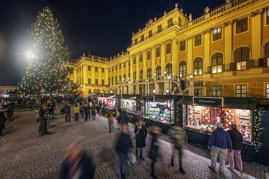 Vienna: Schönbrunn Palace & Christmas Market Walking Tour - Schönbrunn in December: palace lights meet a classic Christmas market
