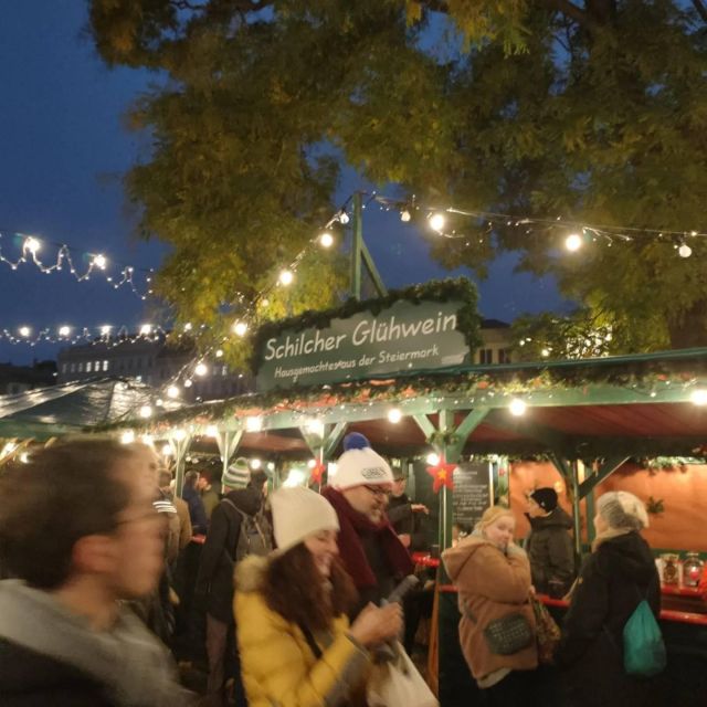 Vienna: Schönbrunn Palace & Christmas Market Walking Tour - Timing, group size, and practical rules that affect your day
