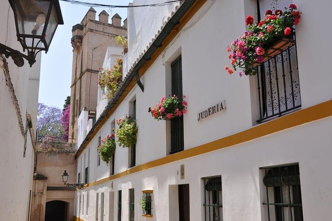 Walking tour through the old Jewish quarter of Santa Cruz. - Meeting at Av. de la Constitución 23B: Getting Started Without Stress