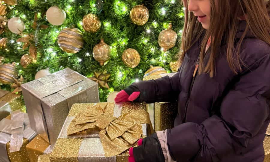 Washington, DC: Christmas Tree & Holiday Lights Bus Tour - Key Points You’ll Care About
