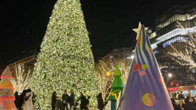 Washington, DC: Christmas Tree & Holiday Lights Bus Tour - Climate-Controlled Comfort Beats Holiday Chaos