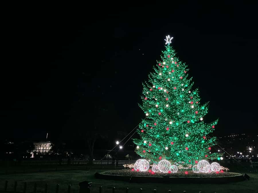 Washington, DC: Christmas Tree & Holiday Lights Bus Tour - National Menorah During Hanukkah: Festival of Lights Stop