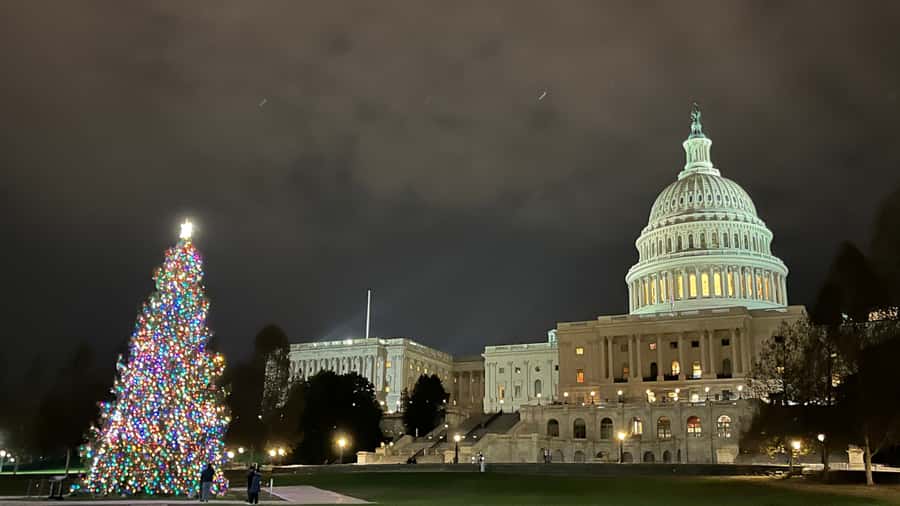 Washington, DC: Christmas Tree & Holiday Lights Bus Tour - Price and Value: Is $60 Worth It?