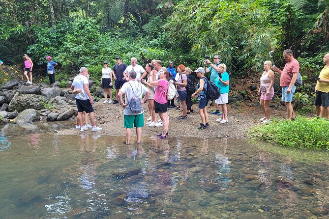 Waterfall and Beach Safari in Santa Lucia - What the guides and drivers really affect (and why you should care)