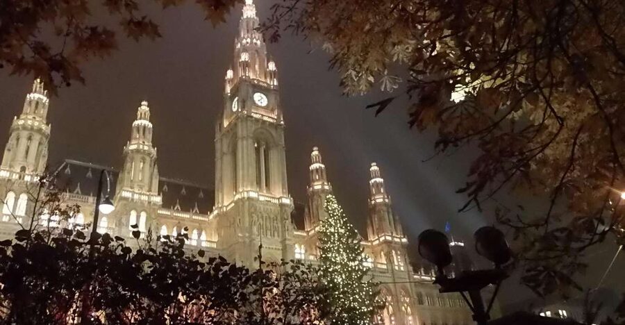 Wien: Tour with locals on the trails of the Christmas Tree - Why the Christmas Tree Story Works in Vienna