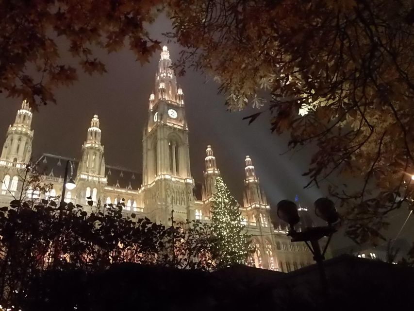 Wien: Tour with locals on the trails of the Christmas Tree - The Historic Center Segment: Palaces, Architecture, and the Tree’s Viennese Arrival