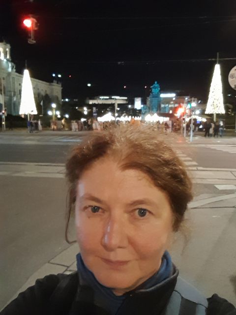 Wien: Tour with locals on the trails of the Christmas Tree - Churches, Conflict, and When Peter’s Church Enters the Plan