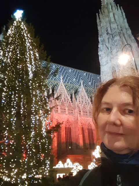 Wien: Tour with locals on the trails of the Christmas Tree - Price and Value: Is $62 Fair for a Local-Guided Night Walk?