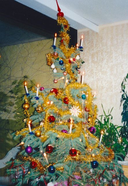 Wien: Tour with locals on the trails of the Christmas Tree - What to Bring (and What to Expect in Winter)