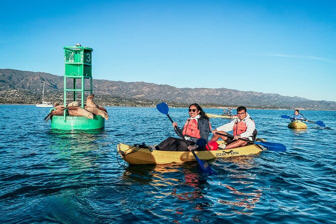 Wildlife Kayak Tour in Santa Barbara Harbor (2 Hours) - The Calm-Start Training: How You Learn Without Feeling Stressed