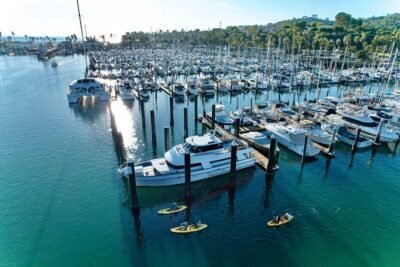 Wildlife Kayak Tour in Santa Barbara Harbor (2 Hours) - Stearns Wharf Stop: Views, Boats, and a Wildlife-Spotting Mindset