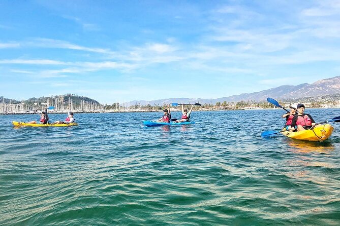 Wildlife Kayak Tour in Santa Barbara Harbor (2 Hours) - Wildlife Checklist: Who You Might See (and How to Not Miss It)