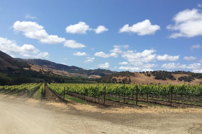 Wine Lovers Tour from Santa Barbara Area - Key highlights at a glance