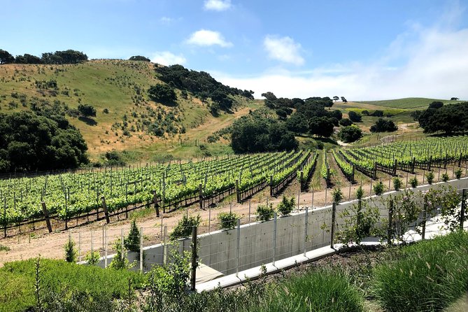 Wine Lovers Tour from Santa Barbara Area - 3–4 tasting stops: how the day stays fun instead of chaotic