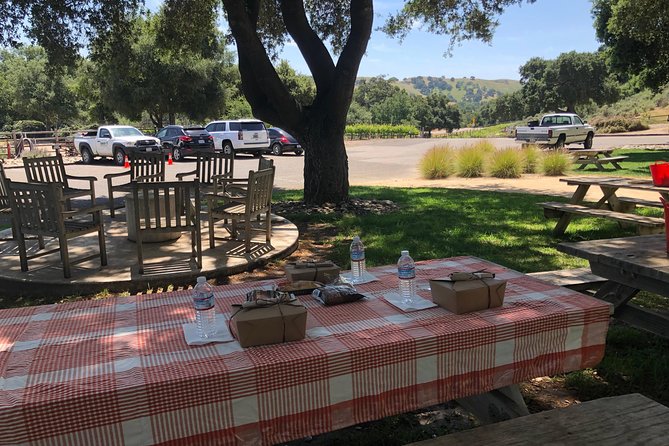 Wine Lovers Tour from Santa Barbara Area - Picnic lunch (included): what you should plan around