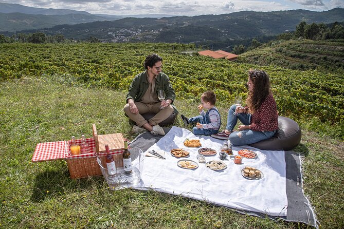 Wine Tasting & Lunch from Porto | Quinta de Santa Cristina - Inside the Winery: From Grapes Reception to Bottling
