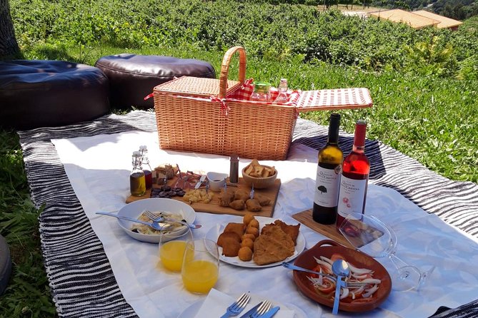 Wine Tasting & Lunch from Porto | Quinta de Santa Cristina - The 3-Wine Tasting and Regional Products Board (With Vegan Option)