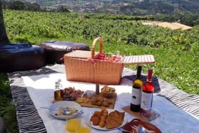 Wine Tasting & Lunch | Quinta de Santa Cristina Vinho Verde - Who this tour suits best (and who should think twice)