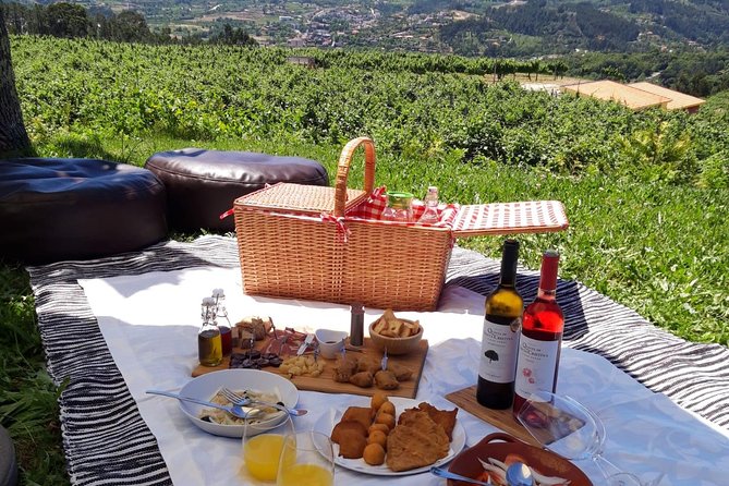 Wine Tasting & Lunch | Quinta de Santa Cristina Vinho Verde - Who this tour suits best (and who should think twice)
