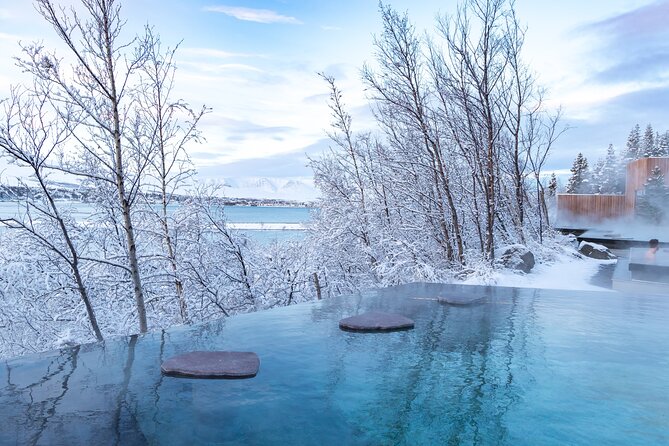 Winter Combo Godafoss Christmas House and The Forest Lagoon - Forest Lagoon geothermal soak: the warm payoff with fjord views